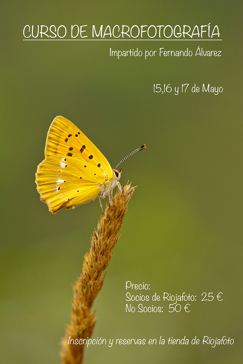 Carteltallermacro