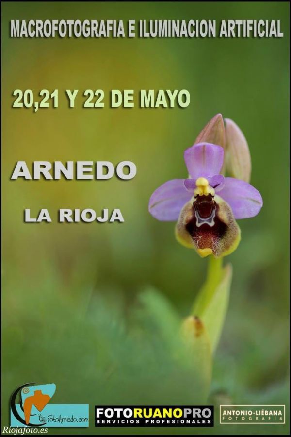 macroarnedo