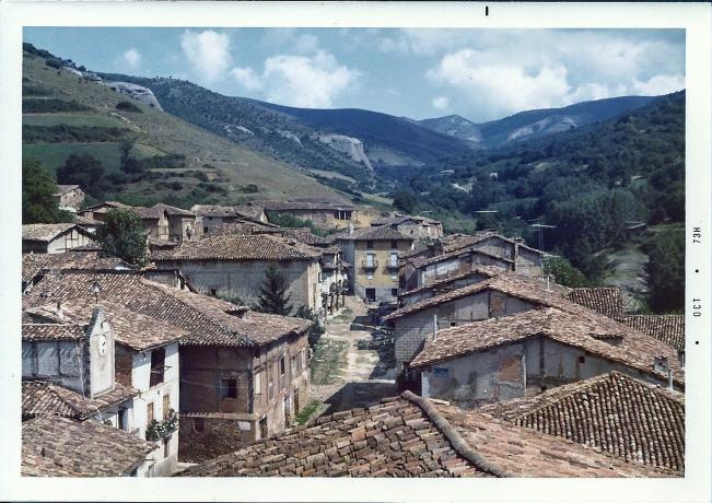 pedroso